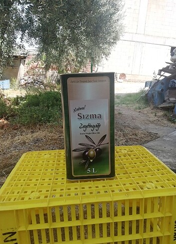 Dalından Sızma Zeytin Yağı