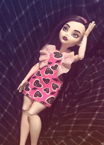 Monster High Draculara And Frankie - Görsel 14