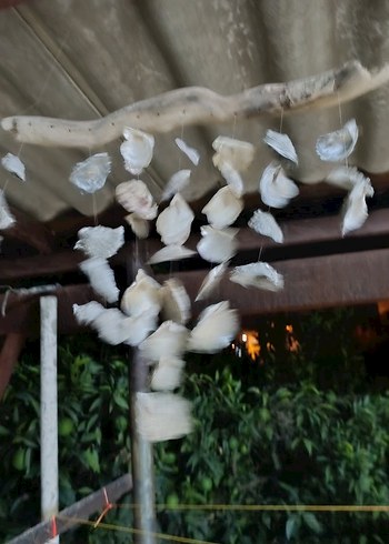 Doğal Deniz Kabuklu Rüzgar Çanı - Görsel 2