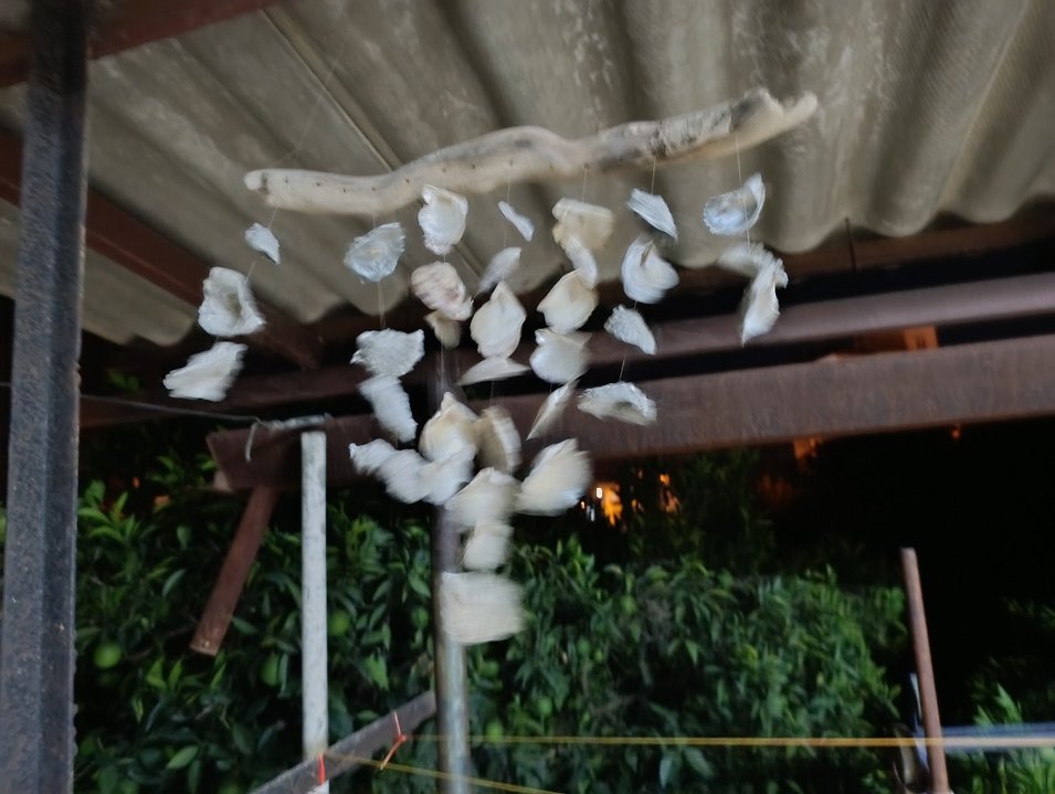 Doğal Deniz Kabuklu Rüzgar Çanı - Görsel 2