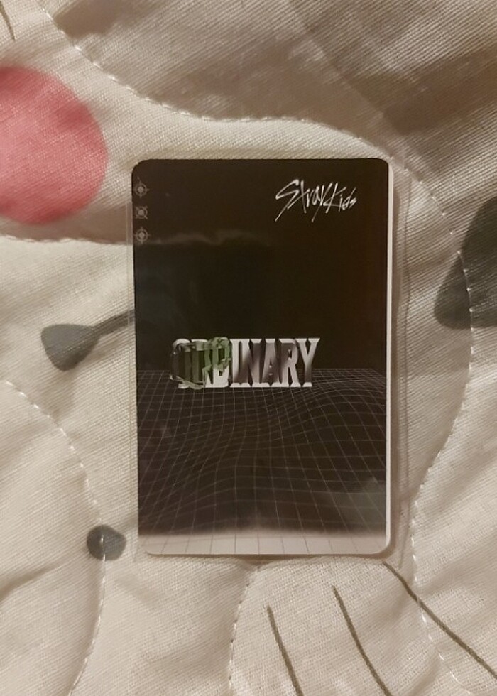 Jeongin in pc - Görsel 2