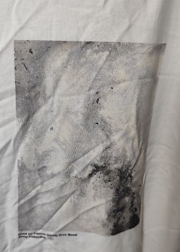 Erkek Beyaz Baskılı Keten Tişört - Görsel 2