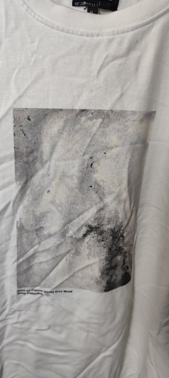 Erkek Beyaz Baskılı Keten Tişört - Görsel 2