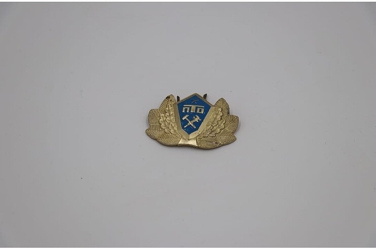 Sovyet Rusya Soğuk Savaş Vintage Askeri Arma / Broş / Rozet