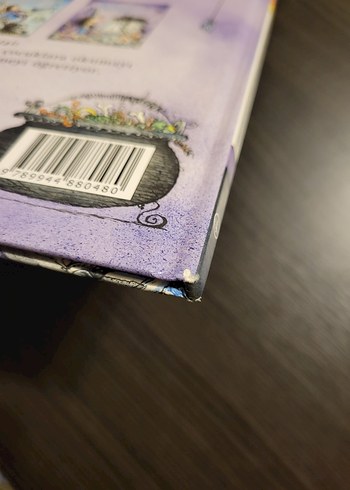 Beden Renk Sakar Cadı Vini'nin Yeni Bilgisayarı Çocuk Kitabı