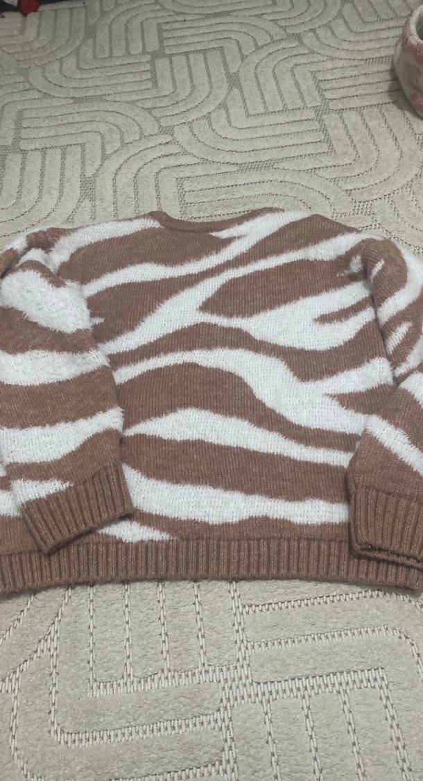 Zebra Desenli Örgü Kadın Kazak - Görsel 3