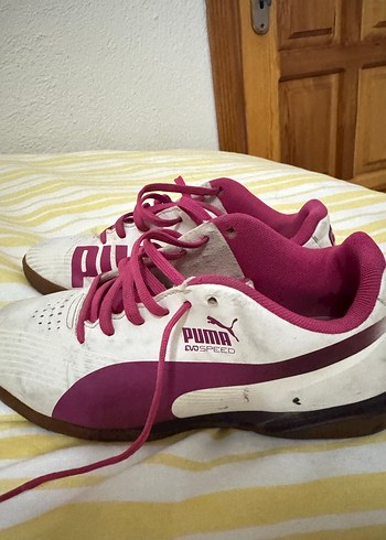 Puma 37