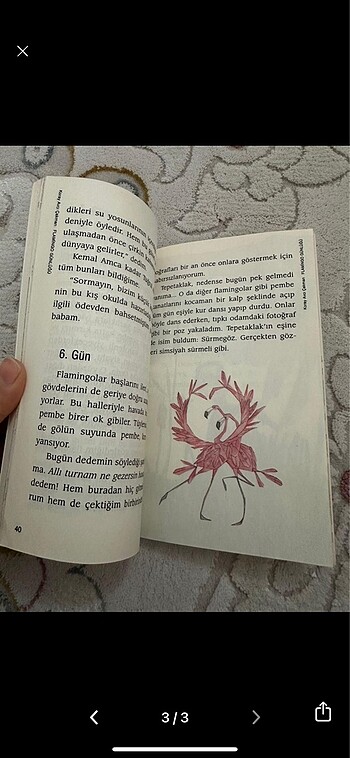 Flamingo günlüğü - Görsel 3