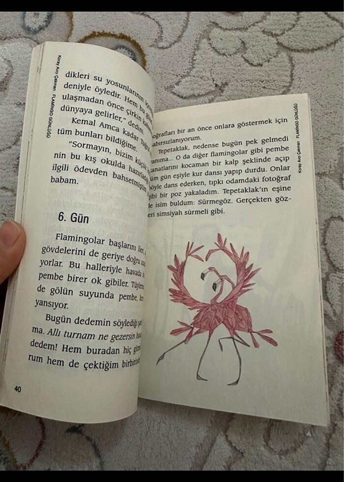 Flamingo günlüğü - Görsel 3