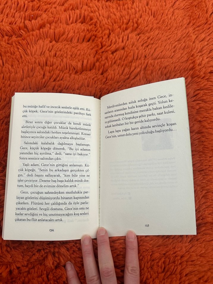 Gece Yoldaki Büyük Serüven - Fulya Yılmaz - Görsel 3