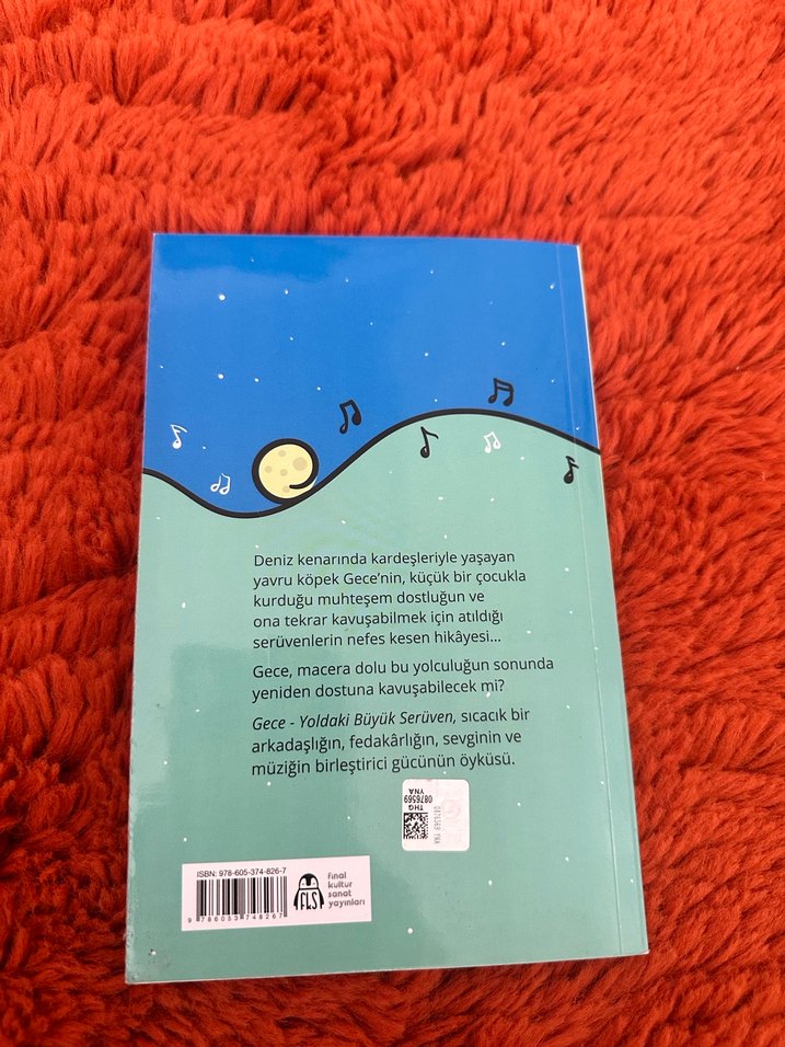 Gece Yoldaki Büyük Serüven - Fulya Yılmaz - Görsel 2