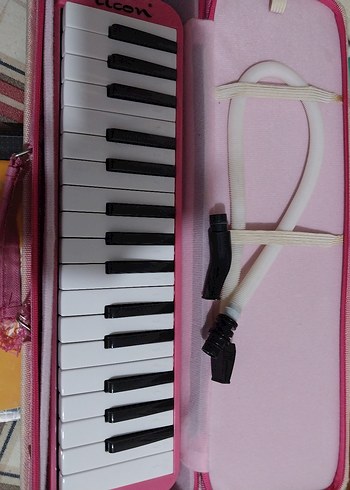 melodika pembe