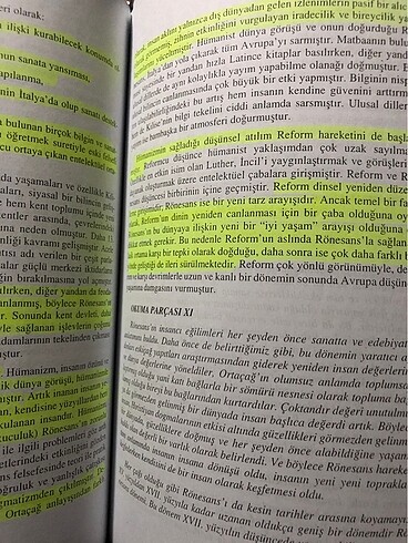 hukuk felsefesi yasemin ışıktaş