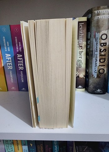  Beden Değersiz Bir Hayat - Hanya Yanagihara