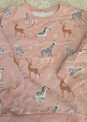Kız Çocuk Pembe Zebra Desenli Sweatshirt - Görsel 2