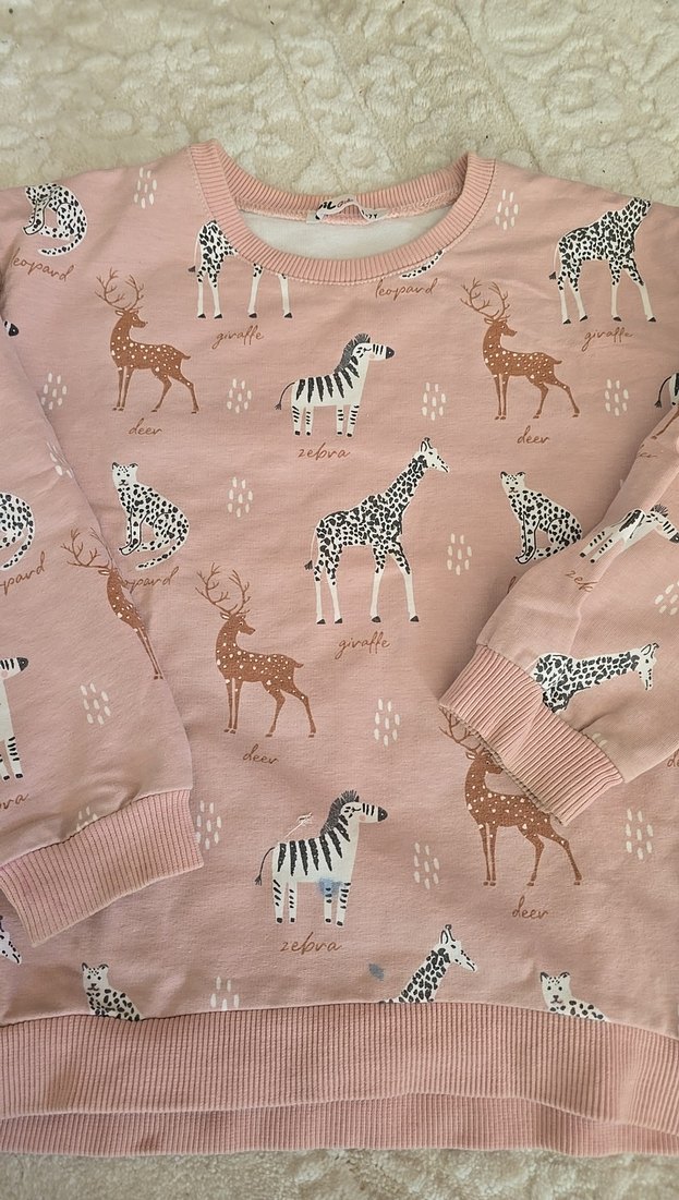 Kız Çocuk Pembe Zebra Desenli Sweatshirt - Görsel 2