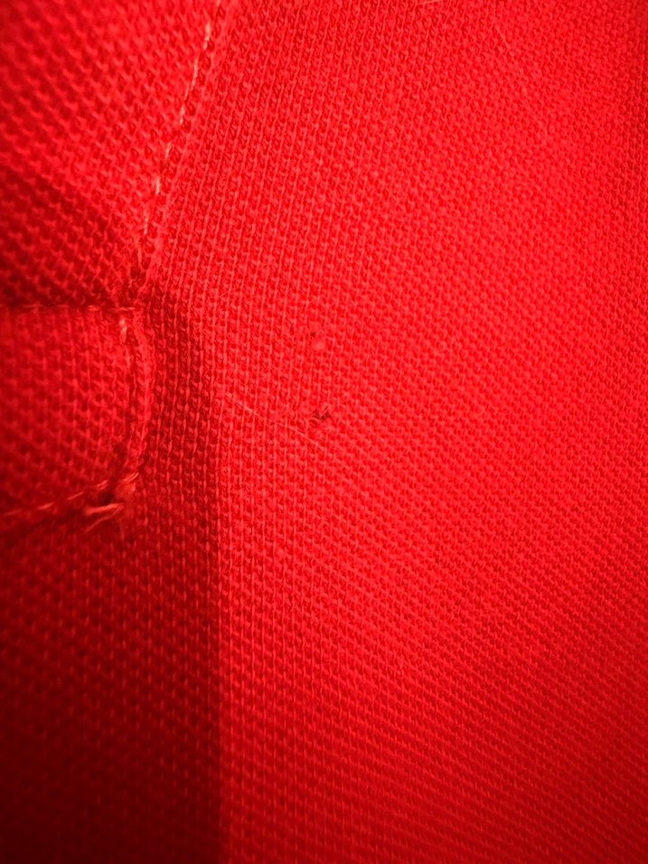 US Polo Kırmızı Polo Yaka Tişört - Görsel 3