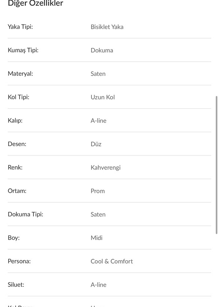 Kadın abiye - Görsel 3