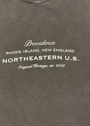 Gri Baskılı Kısa Kollu Kadın Tişört - Görsel 5