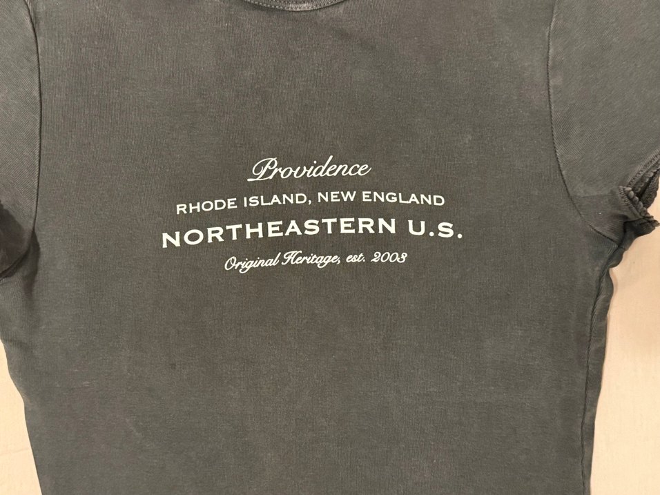 Gri Baskılı Kısa Kollu Kadın Tişört - Görsel 5