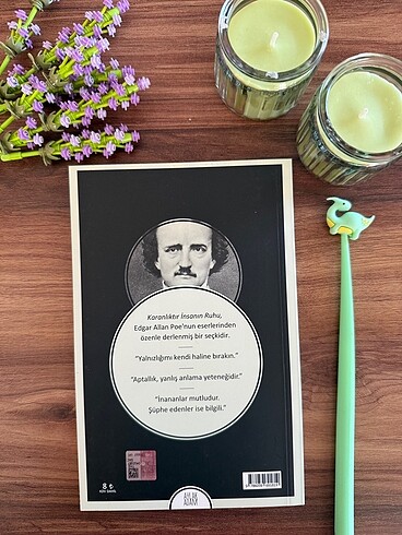 Edgar Allan Poe- Aforizmalar - Görsel 2