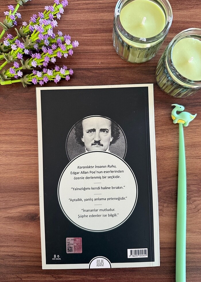 Edgar Allan Poe- Aforizmalar - Görsel 2