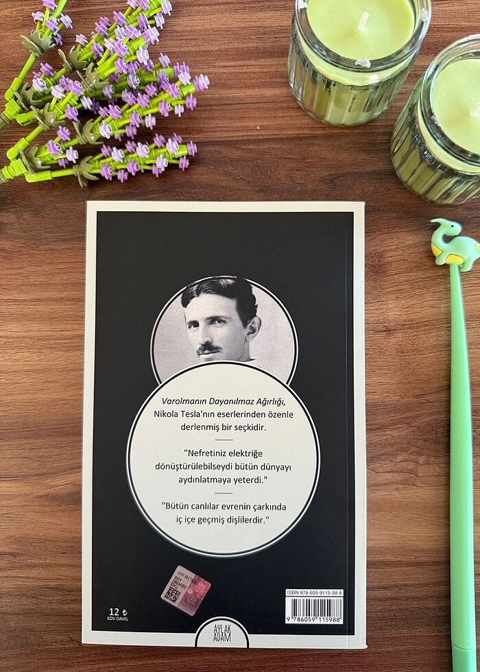 Nikola Tesla- Aforizmalar - Görsel 2