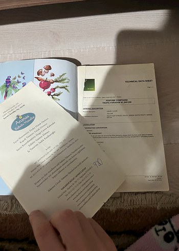 Ananas Kokulu Masallar Çocuk Kitabı - Görsel 2