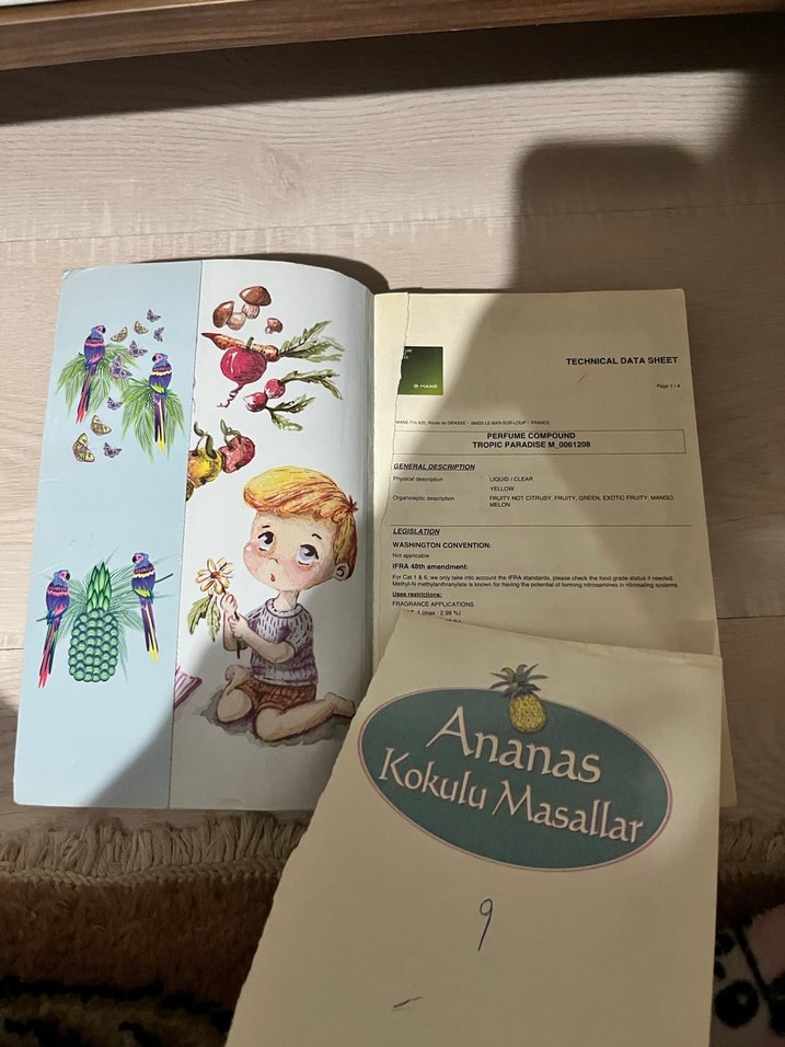 Ananas Kokulu Masallar Çocuk Kitabı - Görsel 3