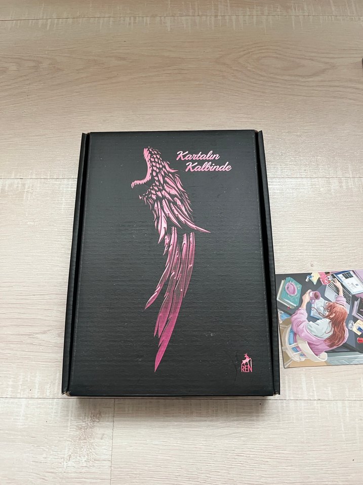 Kartalın Kalbinde 1 -Aleyna Daşkıran - Görsel 2