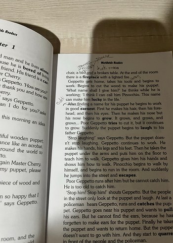 Pinocchio - Carlo Lorenzini İngilizce Çocuk Kitabı - Görsel 5