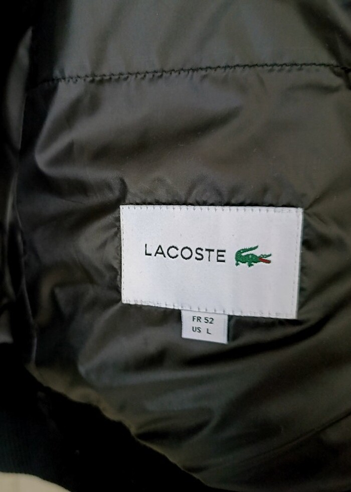 Lacoste Kışlık Mont - Görsel 4