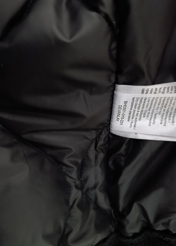 Lacoste Kışlık Mont - Görsel 5