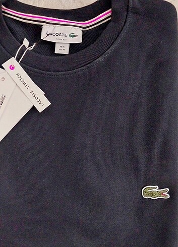 Lacoste Orijinal Sweatshirt/ Siyah - Görsel 2