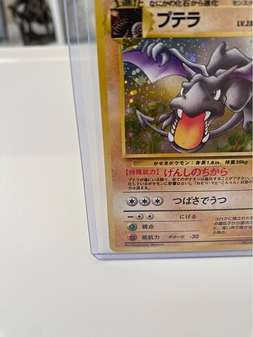  Beden Renk 1997 Fossil Aerodactyl Holo Pokemon Kartı