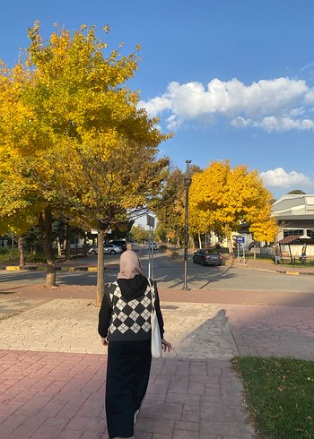 Baklava desenli kadın Triko süveter - Görsel 4