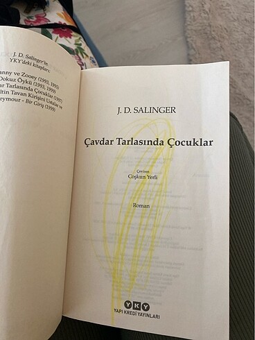 Beden Çavdar tarlasında çocuklar