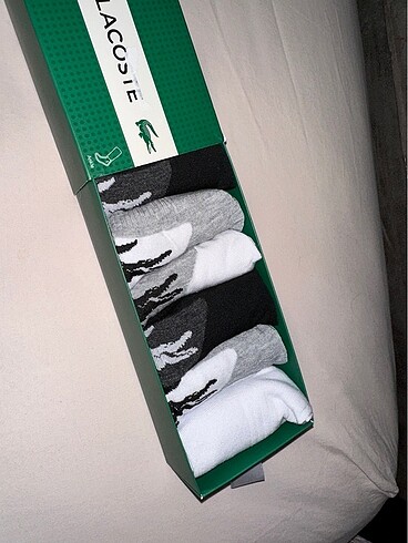 Lacoste Lacoste Erkek Çorap