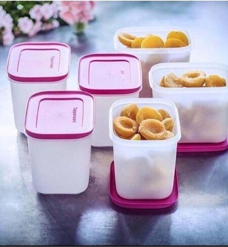 Beden pembe Renk Tupperware alaska 1.1
