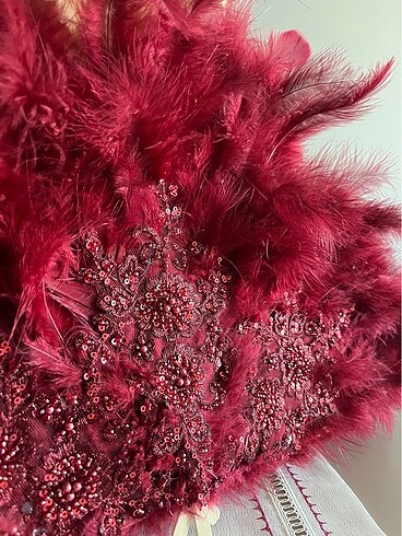 Kırmızı tüğlü yelpaze - Görsel 3