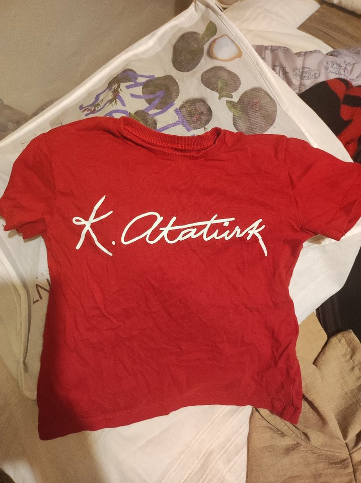 Kapüşonlu Baskılı Erkek Çocuk Ceketi - Görsel 2