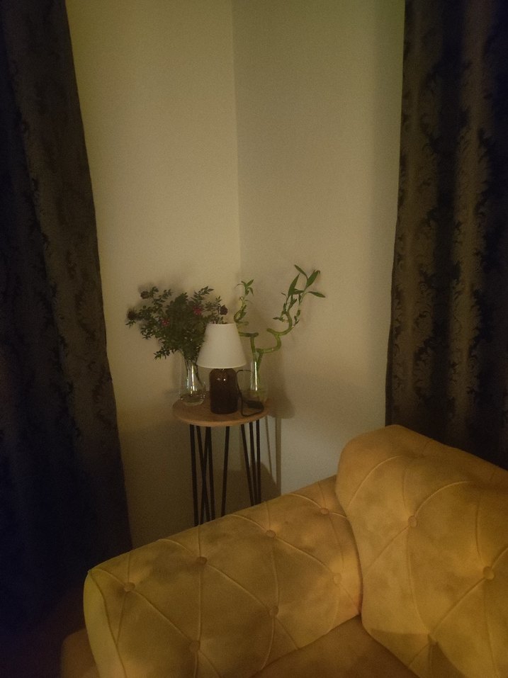 Kahverengi  Desenli Perde - Görsel 4