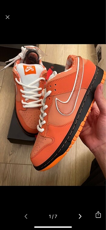 Nike SB dunk orange lobstar