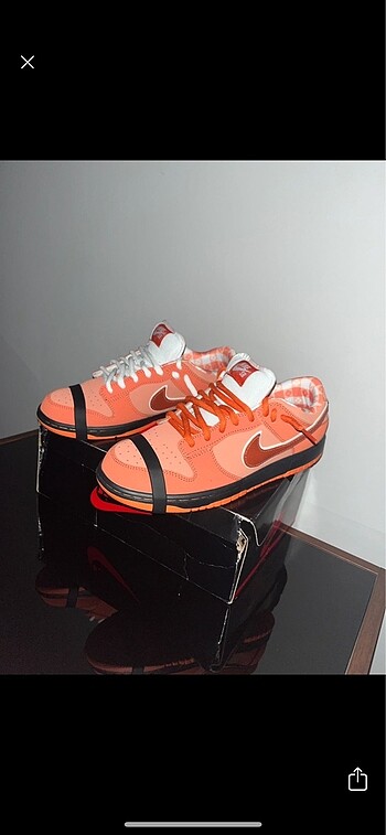 Nike dunk özel ilan