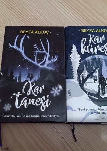 Beyza Alkoç'tan Kar Tanesi ve Kar Küresi