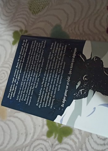 İLANI ALMAYIN - Görsel 2