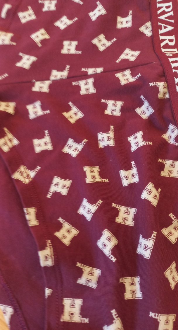 Baskılı Bordo erkek boxter - Görsel 2