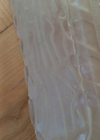 Şeffaf Erkek Plaj Ayakkabısı Beyaz - Görsel 3