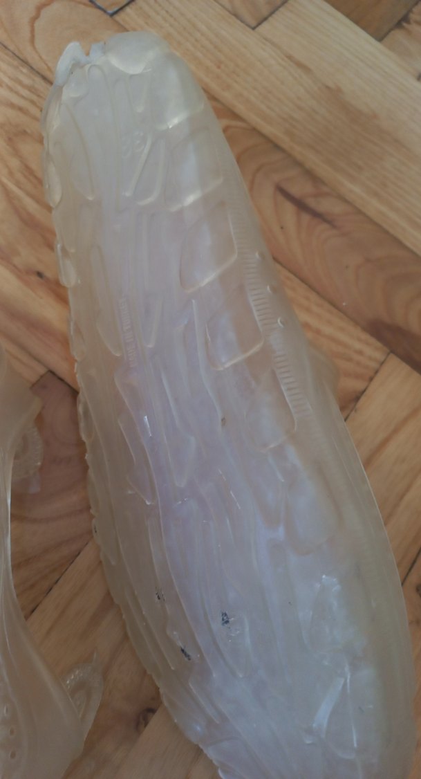 Şeffaf Erkek Plaj Ayakkabısı Beyaz - Görsel 4