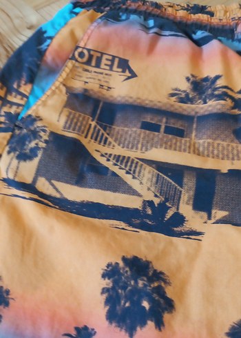 Erkek Çok Renkli Baskılı Mayo Şort - Görsel 2